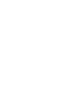 100% VEGAN